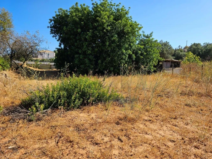 Terreno para Venda em Loule (São Clemente) Foto 12