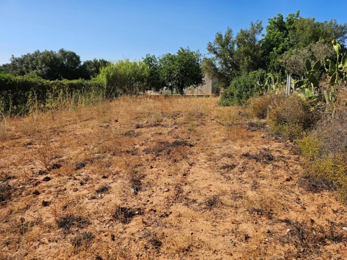Terreno para Venda em Loule (São Clemente) Foto 11