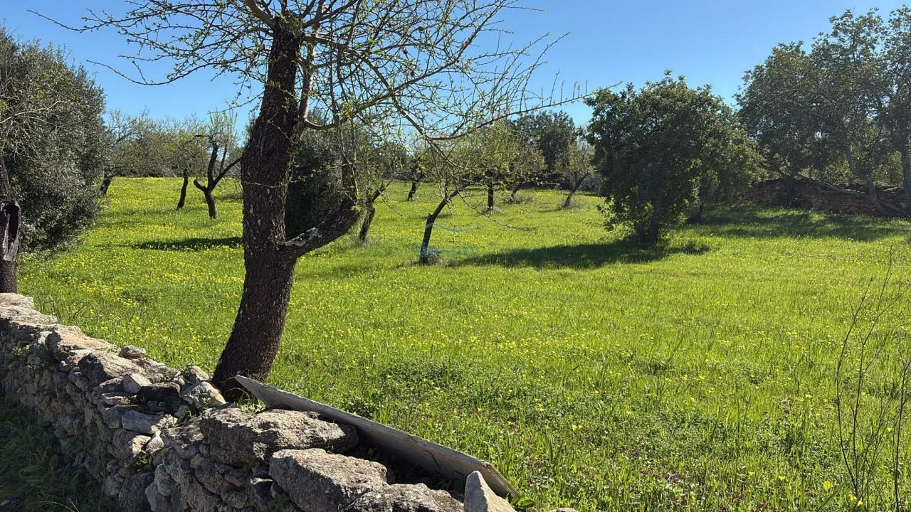 Terreno Misto para Venda em Boliqueime Foto 28