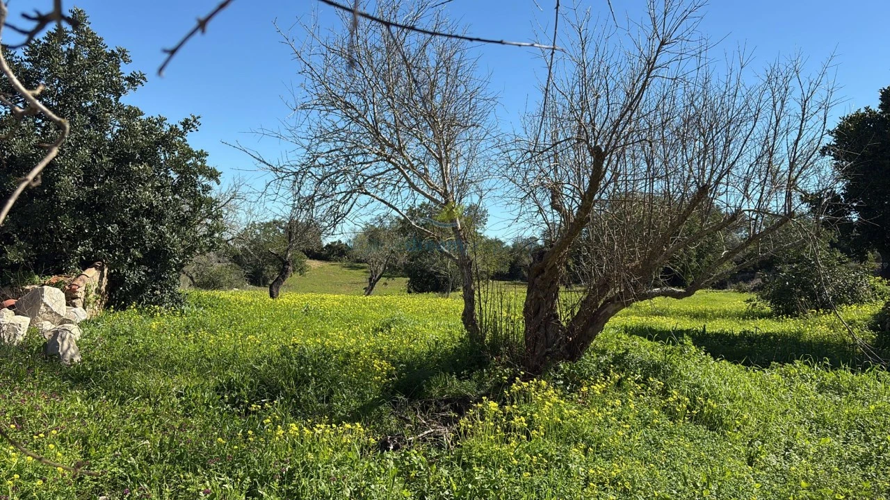 Terreno Misto para Venda em Boliqueime Foto 29