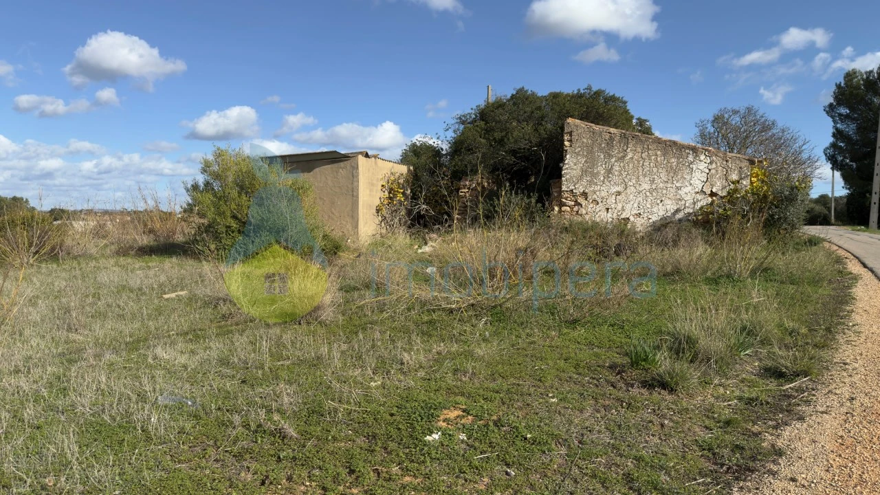 Terreno Misto para Venda em Alcantarilha e Pêra Foto 4