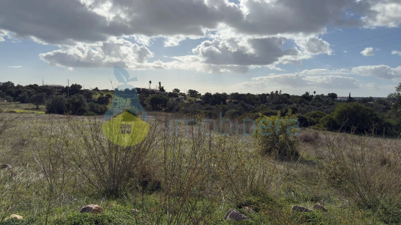 Terreno Misto para Venda em Alcantarilha e Pêra Foto 6