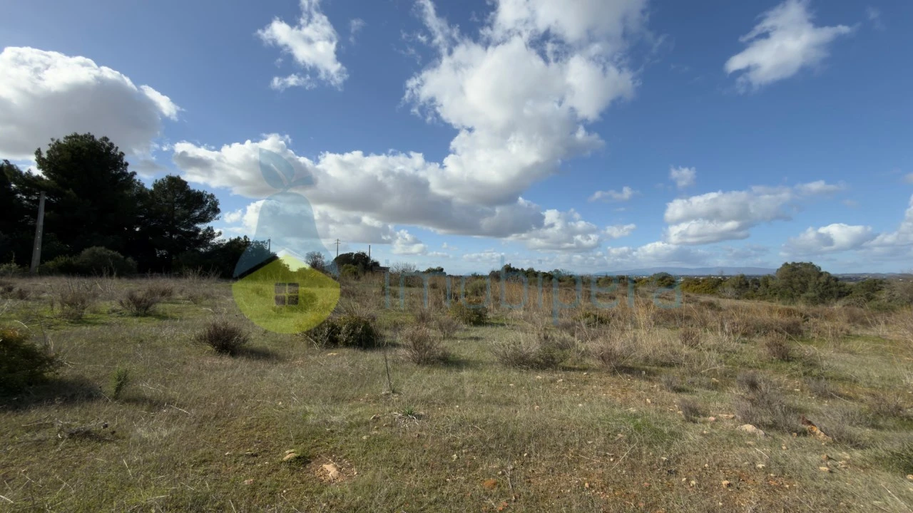 Terreno Misto para Venda em Alcantarilha e Pêra Foto 10