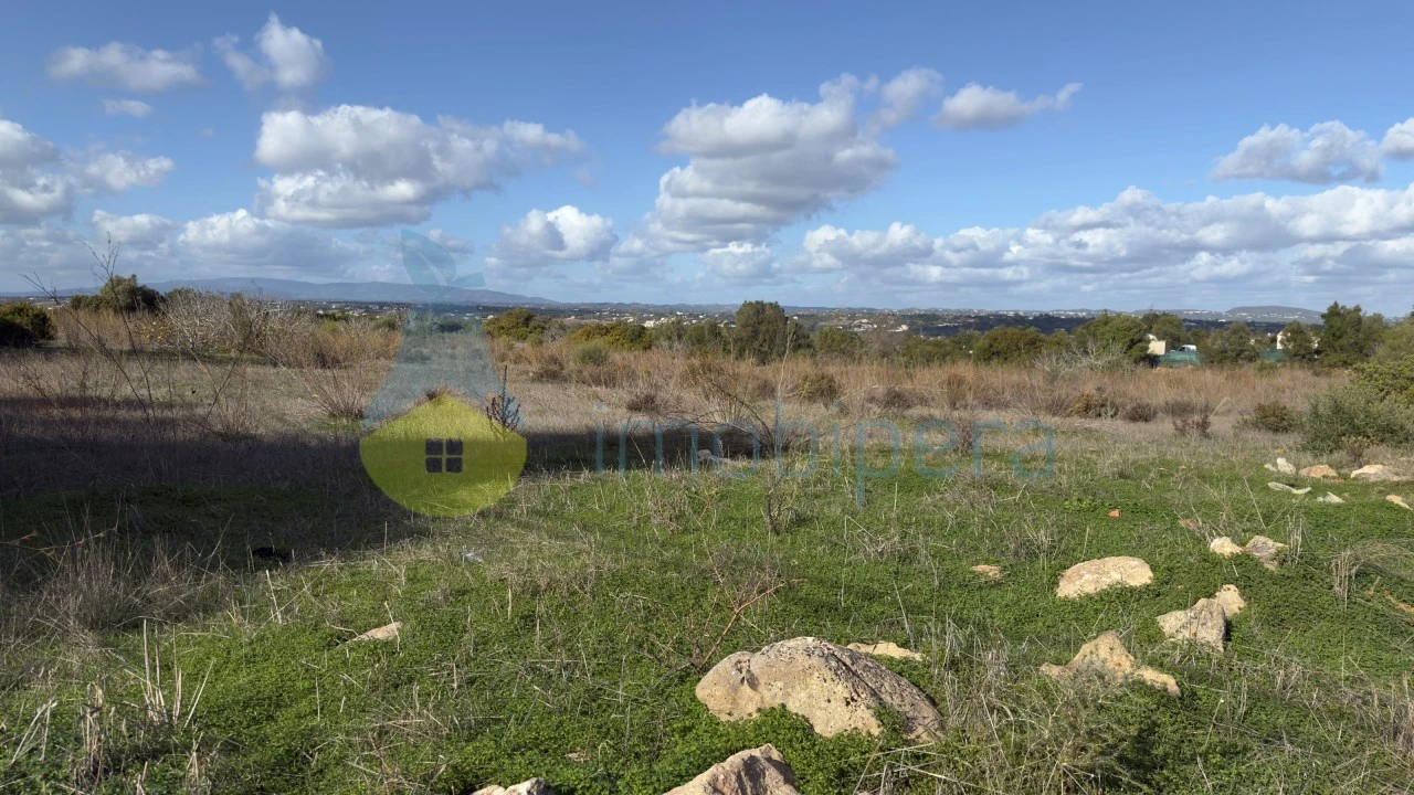 Terreno Misto para Venda em Alcantarilha e Pêra Foto 11