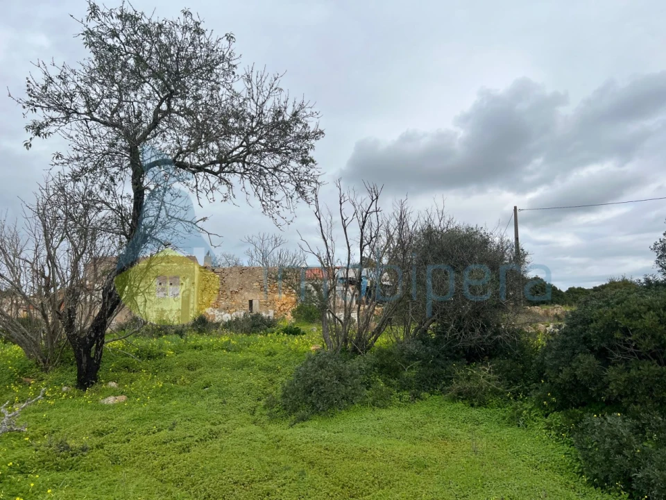 Terreno Misto para Venda em Alcantarilha e Pêra Foto 1