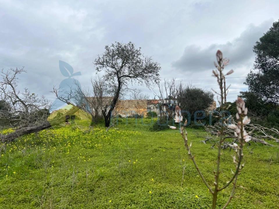 Terreno Misto para Venda em Alcantarilha e Pêra Foto 10