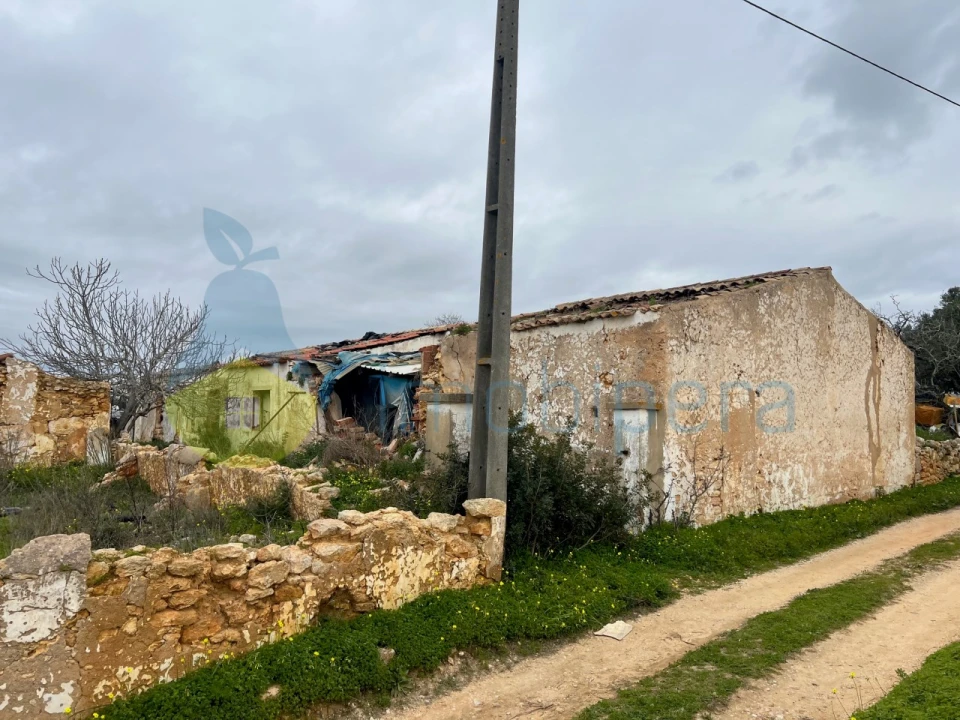 Terreno Misto para Venda em Alcantarilha e Pêra Foto 15
