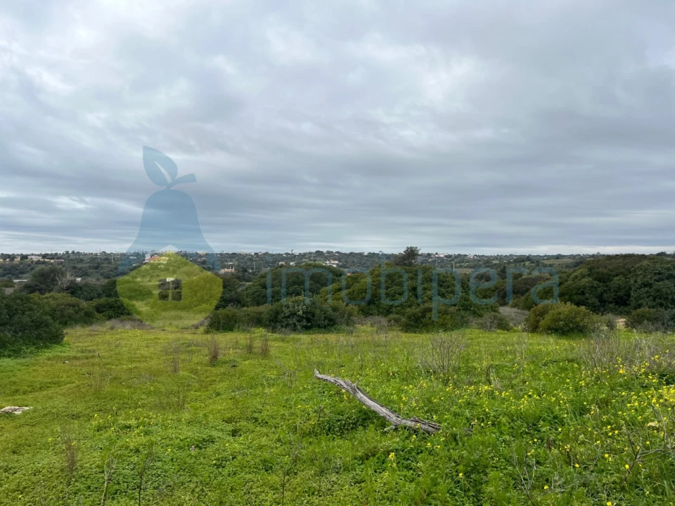 Terreno Misto para Venda em Alcantarilha e Pêra Foto 18
