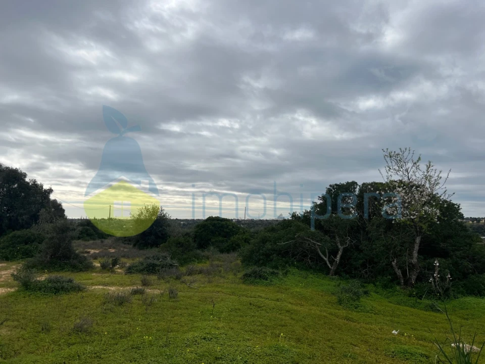 Terreno Misto para Venda em Alcantarilha e Pêra Foto 20