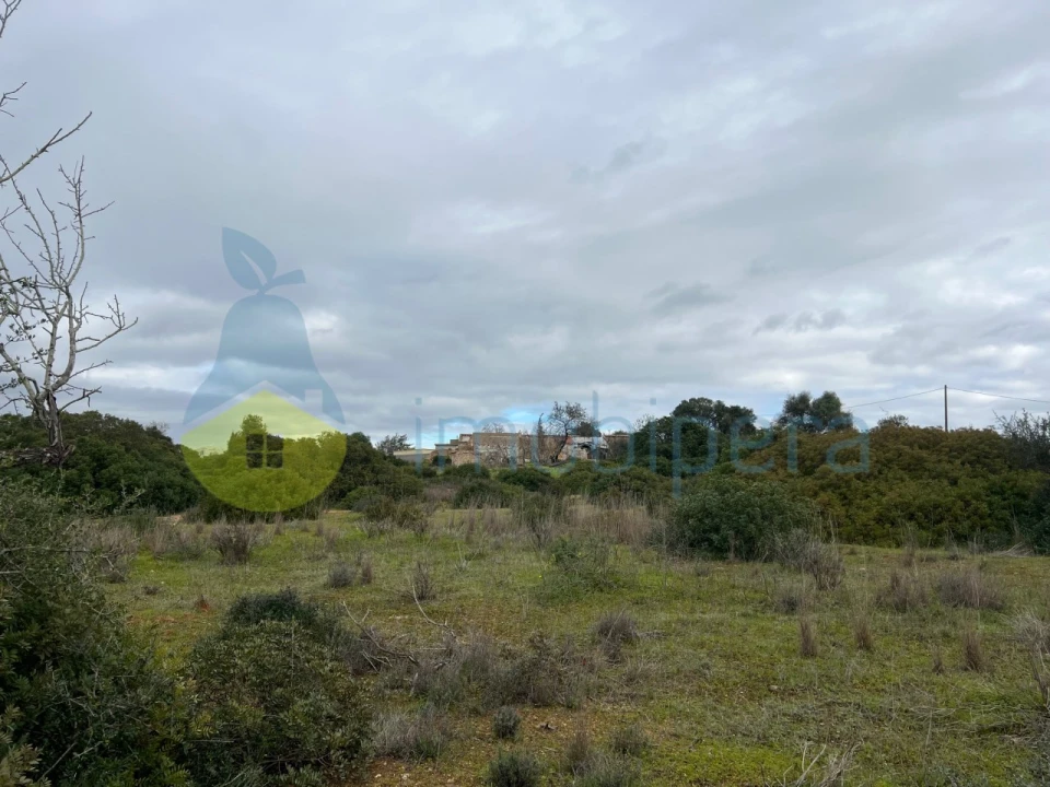 Terreno Misto para Venda em Alcantarilha e Pêra Foto 25