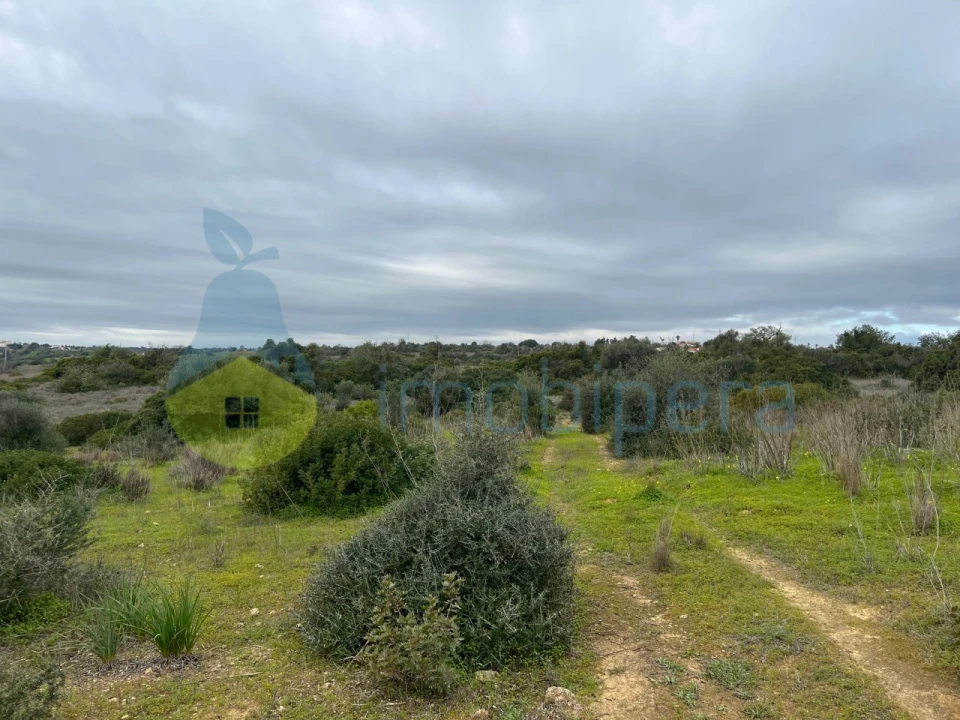Terreno Misto para Venda em Alcantarilha e Pêra Foto 26