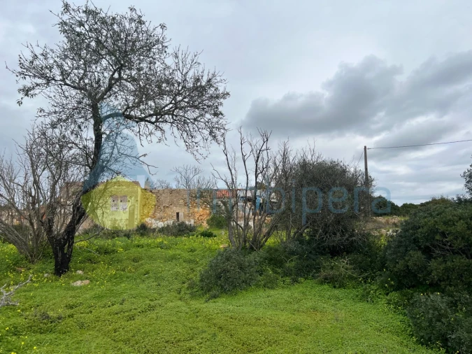 Terreno Misto para Venda em Alcantarilha e Pêra