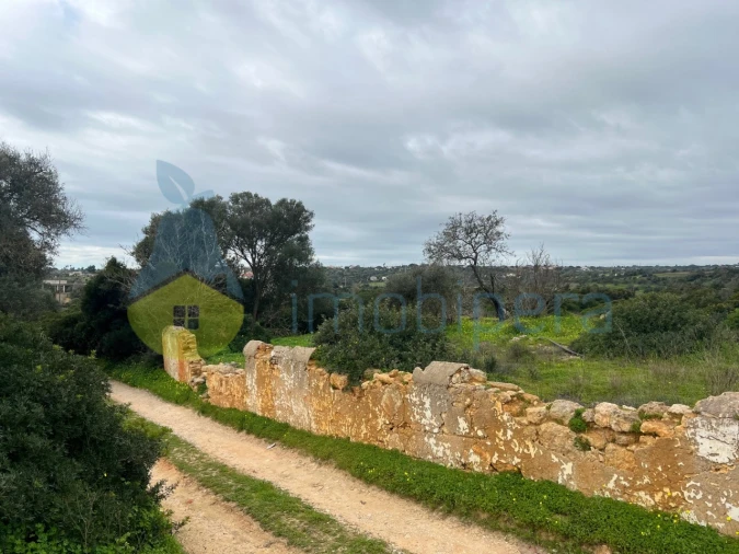Terreno Misto para Venda em Alcantarilha e Pêra Foto 2