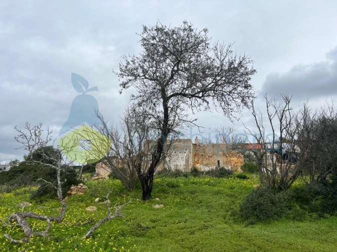 Terreno Misto para Venda em Alcantarilha e Pêra Foto 8
