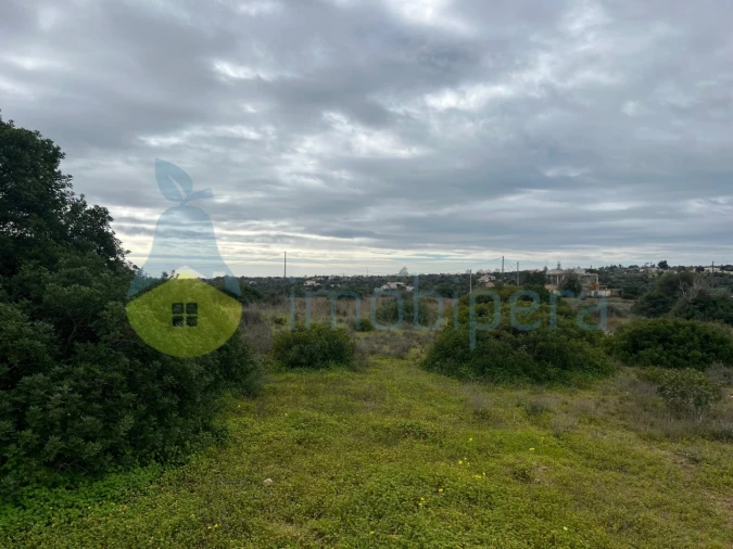 Terreno Misto para Venda em Alcantarilha e Pêra Foto 21