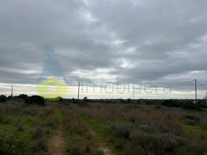 Terreno Misto para Venda em Alcantarilha e Pêra Foto 24