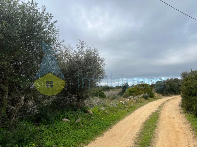 Terreno Misto para Venda em Alcantarilha e Pêra Foto 27