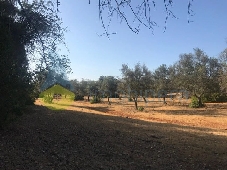 Terreno Agricola ou Rústico para Venda em Algoz e Tunes Foto 9