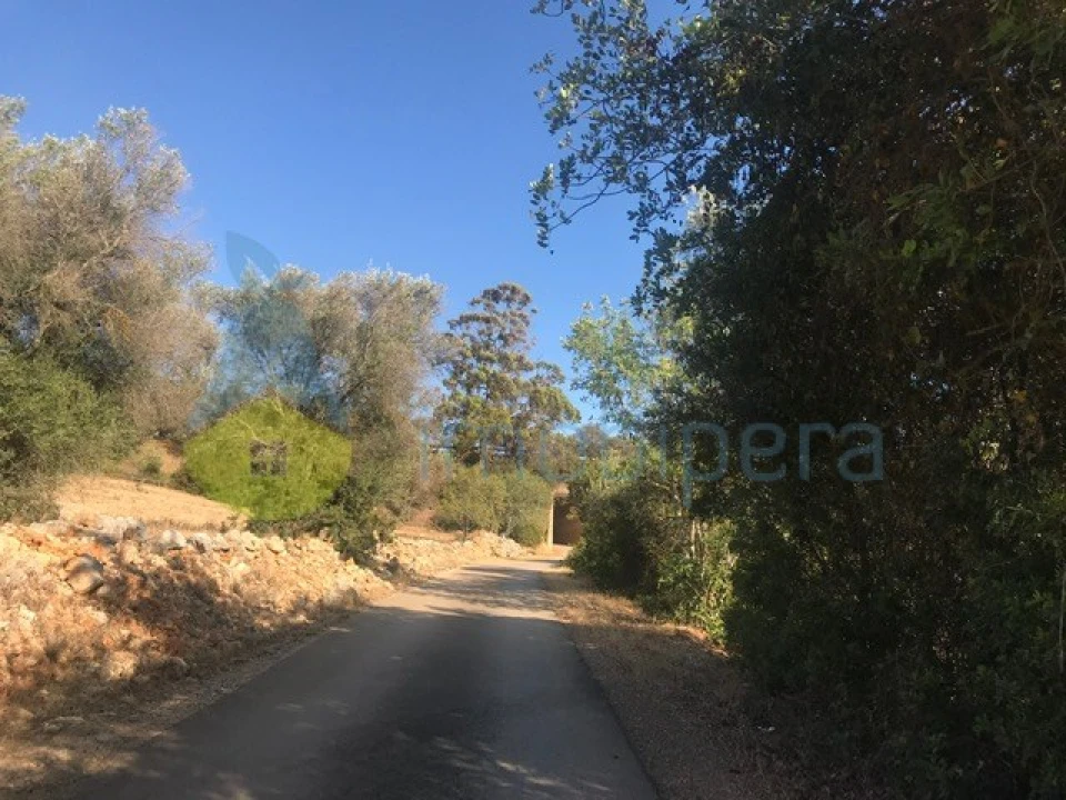 Terreno Agricola ou Rústico para Venda em Algoz e Tunes Foto 12