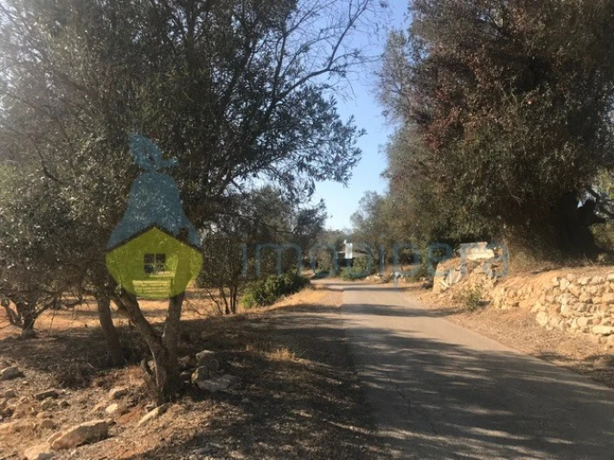 Terreno Agricola ou Rústico para Venda em Algoz e Tunes Foto 7