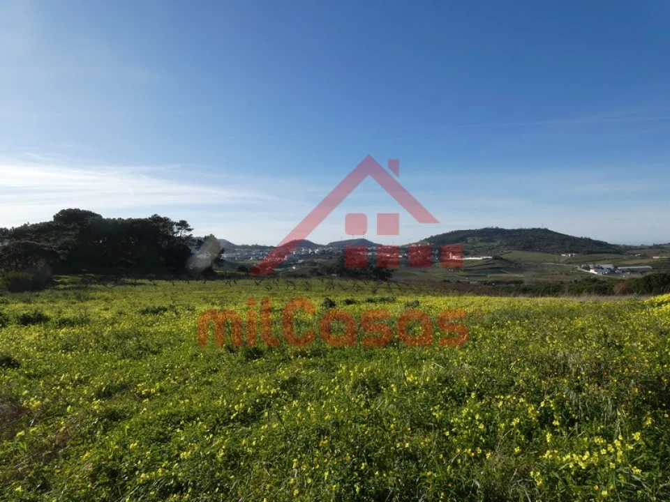 Quinta para Venda em Azueira e Sobral da Abelheira Foto 5