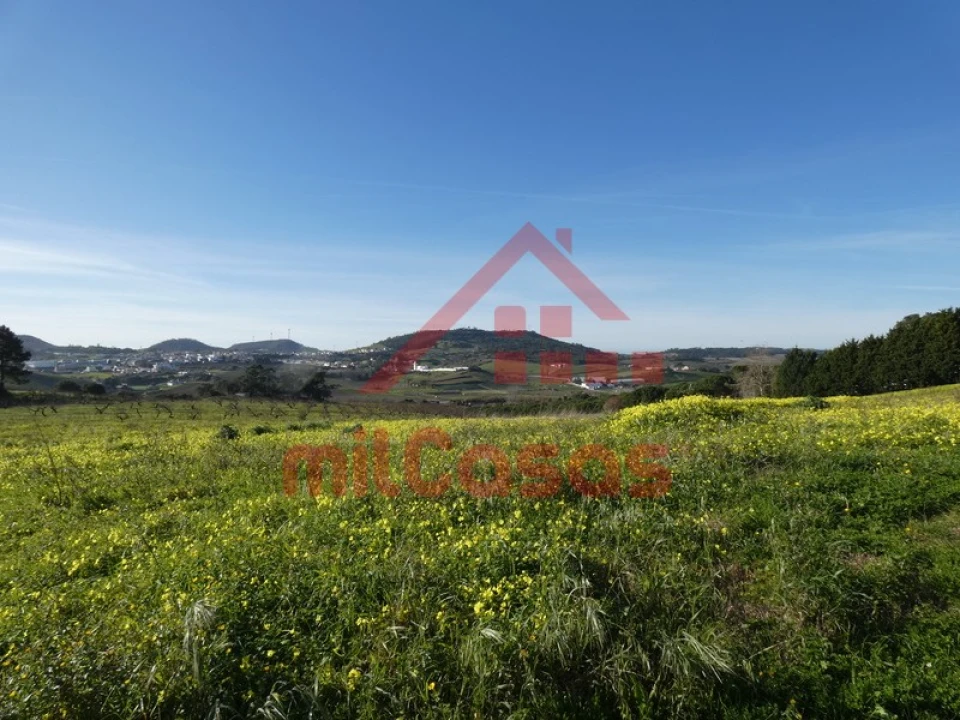 Quinta para Venda em Azueira e Sobral da Abelheira Foto 6