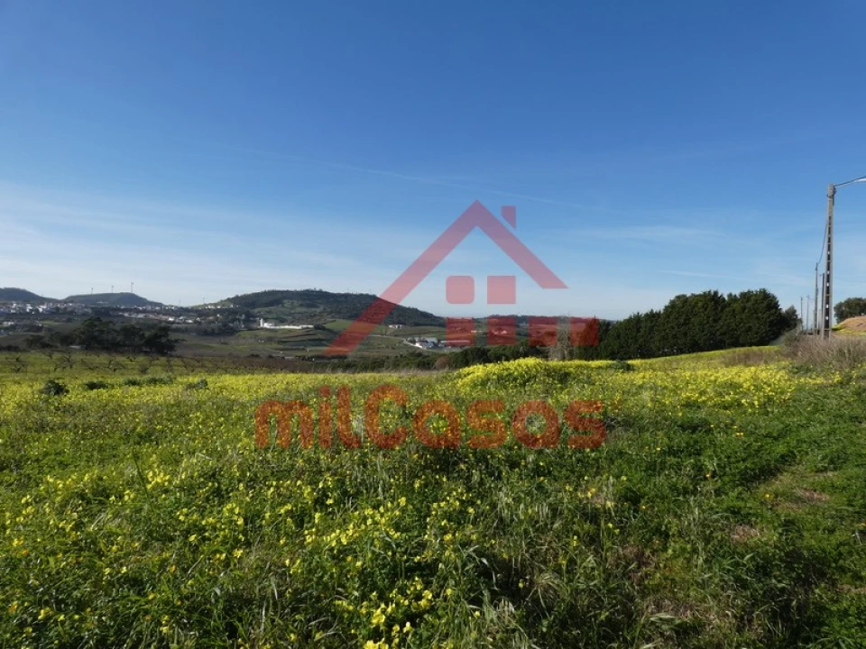 Quinta para Venda em Azueira e Sobral da Abelheira Foto 7