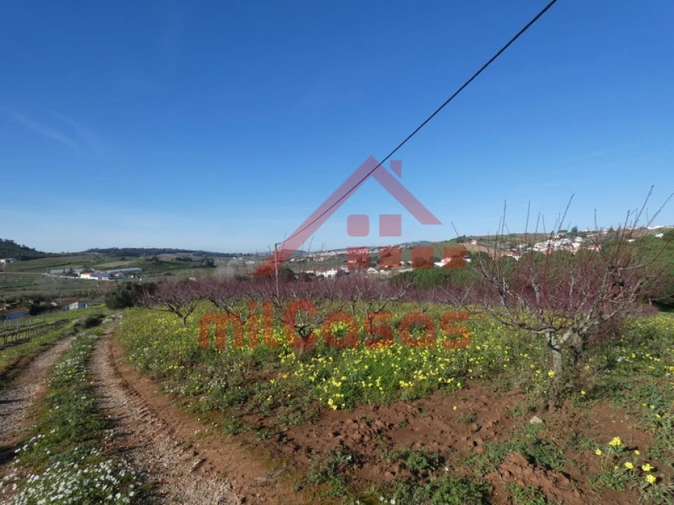 Quinta para Venda em Azueira e Sobral da Abelheira Foto 24