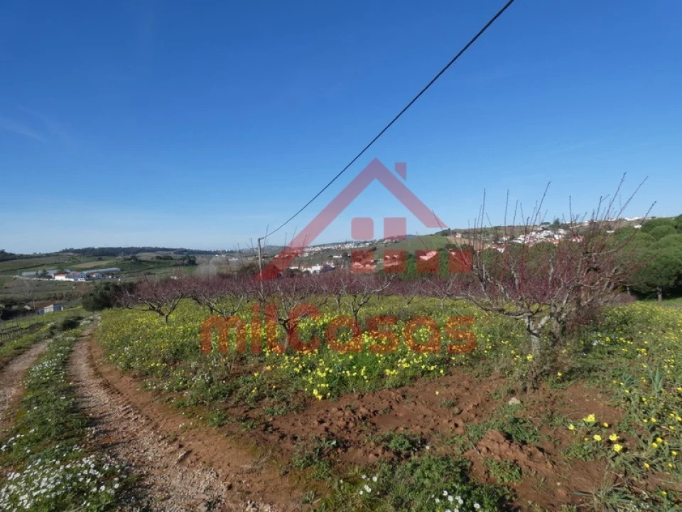 Quinta para Venda em Azueira e Sobral da Abelheira Foto 27