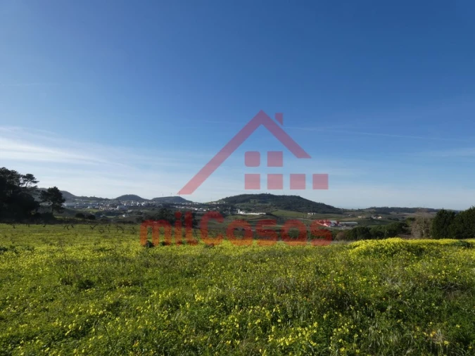 Quinta para Venda em Azueira e Sobral da Abelheira Foto 3