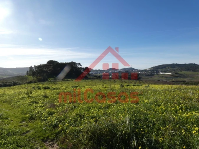 Quinta para Venda em Azueira e Sobral da Abelheira Foto 8