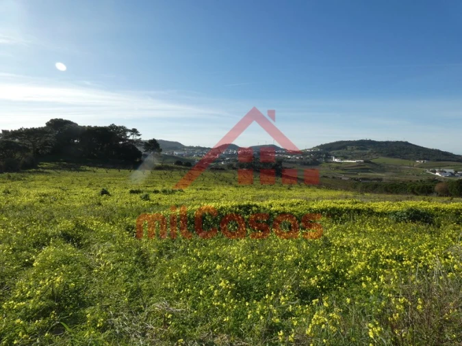 Quinta para Venda em Azueira e Sobral da Abelheira Foto 11