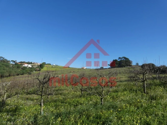 Quinta para Venda em Azueira e Sobral da Abelheira Foto 17