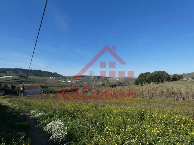 Quinta para Venda em Azueira e Sobral da Abelheira Foto 31