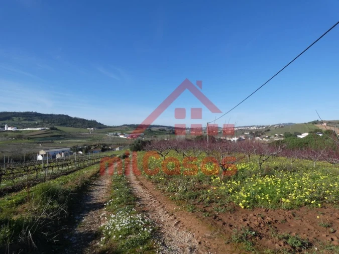 Quinta para Venda em Azueira e Sobral da Abelheira Foto 32