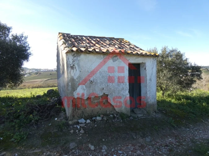 Quinta para Venda em Azueira e Sobral da Abelheira Foto 36