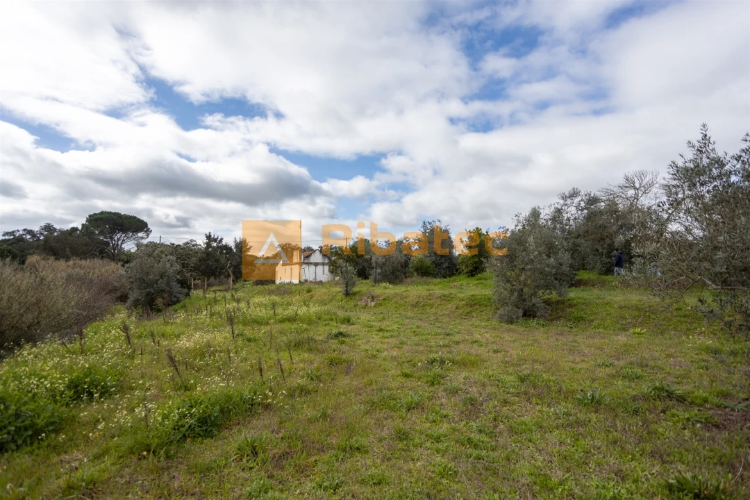 Moradia T2 para Venda em Couço Foto 19