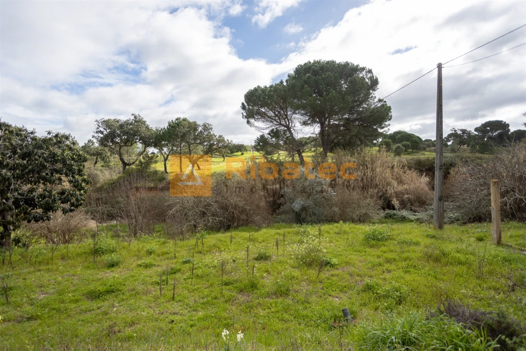 Moradia T2 para Venda em Couço Foto 14