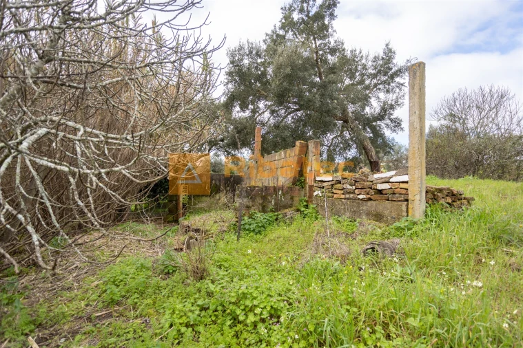 Moradia T2 para Venda em Couço Foto 21