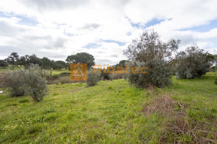 Moradia T2 para Venda em Couço Foto 20