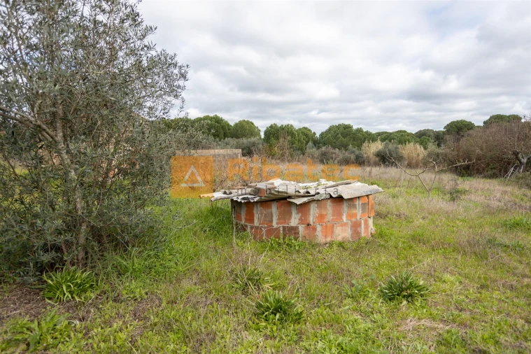 Moradia T2 para Venda em Couço Foto 18