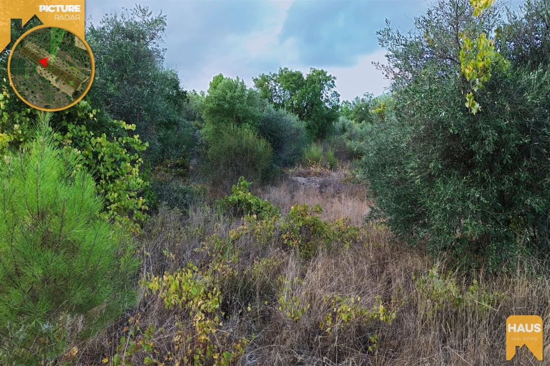 Terreno Agricola ou Rústico para Venda em Freixial e Juncal do Campo Foto 11
