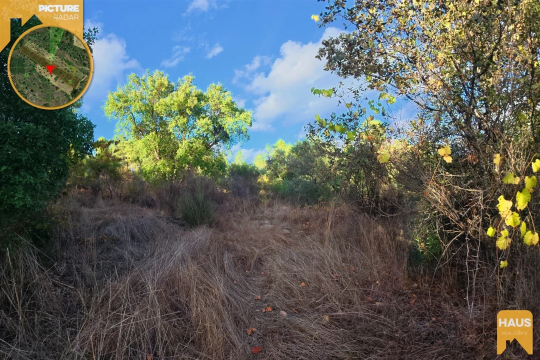 Terreno Agricola ou Rústico para Venda em Freixial e Juncal do Campo Foto 7