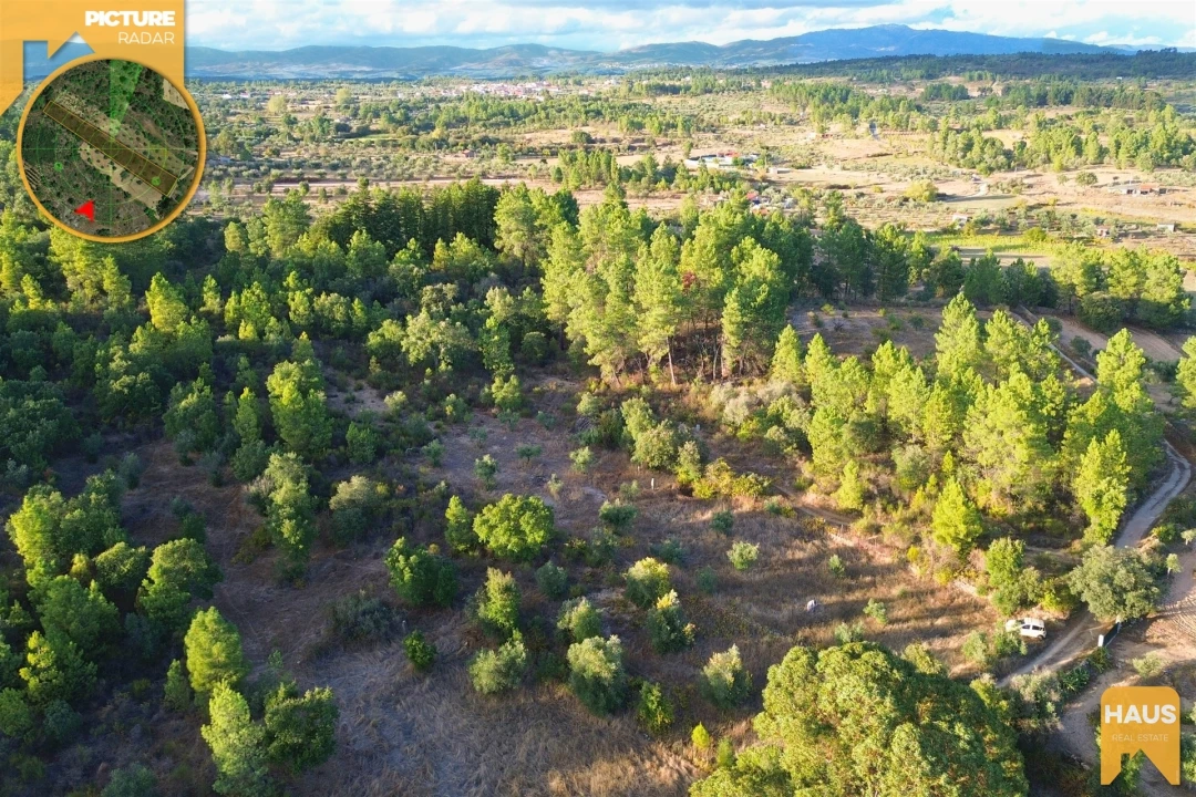 Terreno Agricola ou Rústico para Venda em Freixial e Juncal do Campo Foto 20