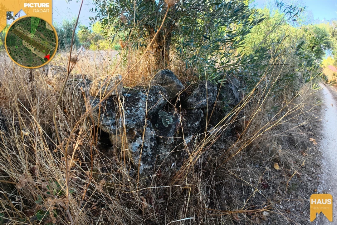 Terreno Agricola ou Rústico para Venda em Freixial e Juncal do Campo Foto 21