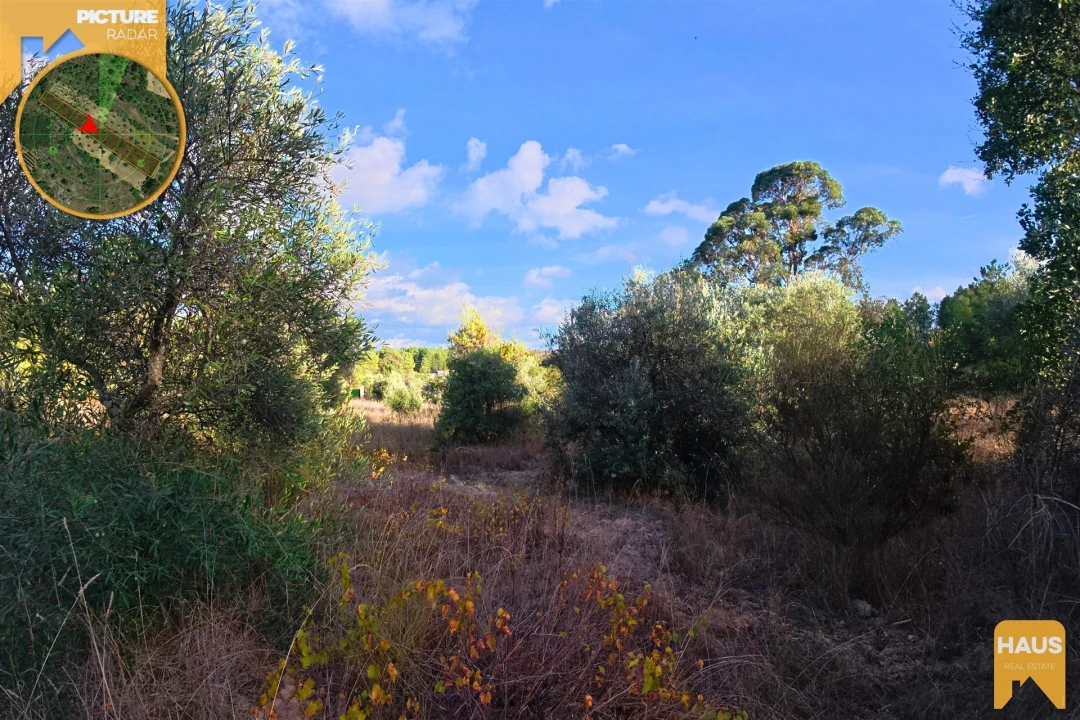 Terreno Agricola ou Rústico para Venda em Freixial e Juncal do Campo Foto 5