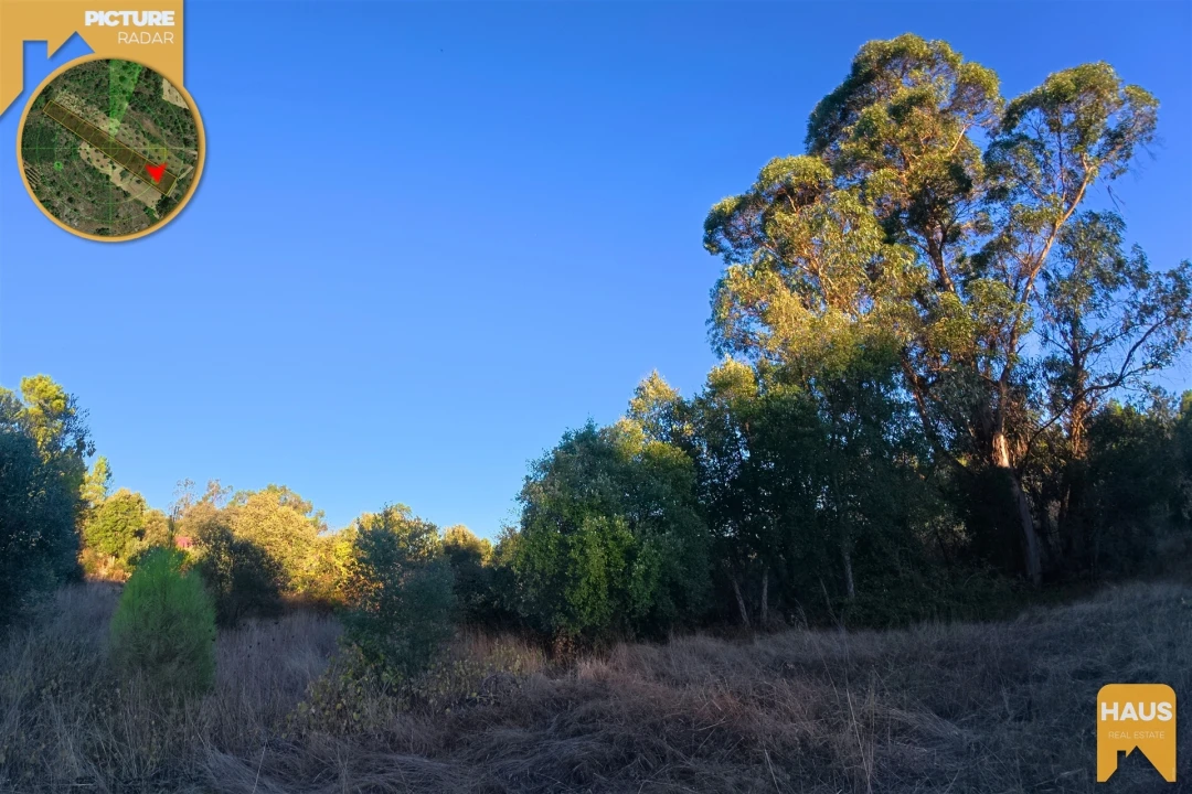 Terreno Agricola ou Rústico para Venda em Freixial e Juncal do Campo Foto 8