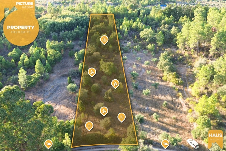 Terreno Agricola ou Rústico para Venda em Freixial e Juncal do Campo Foto 3