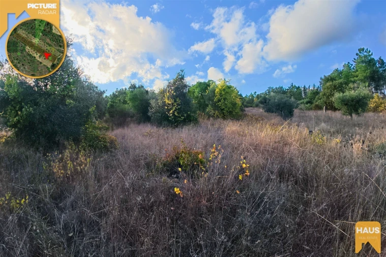 Terreno Agricola ou Rústico para Venda em Freixial e Juncal do Campo Foto 24