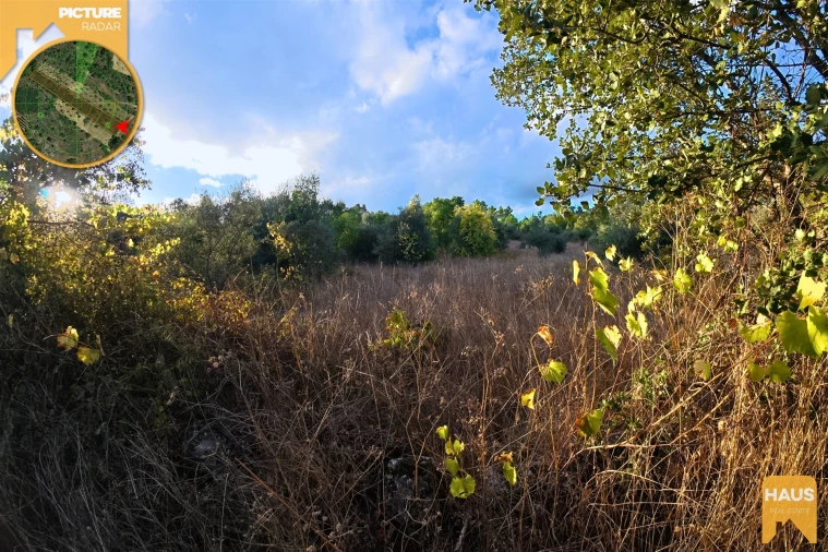 Terreno Agricola ou Rústico para Venda em Freixial e Juncal do Campo Foto 25